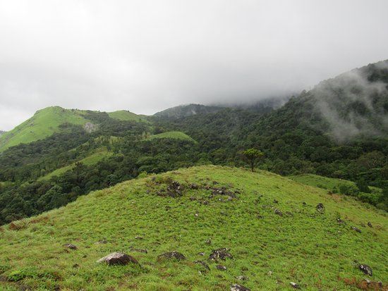Pushpagiri Wildlife Sanctuary